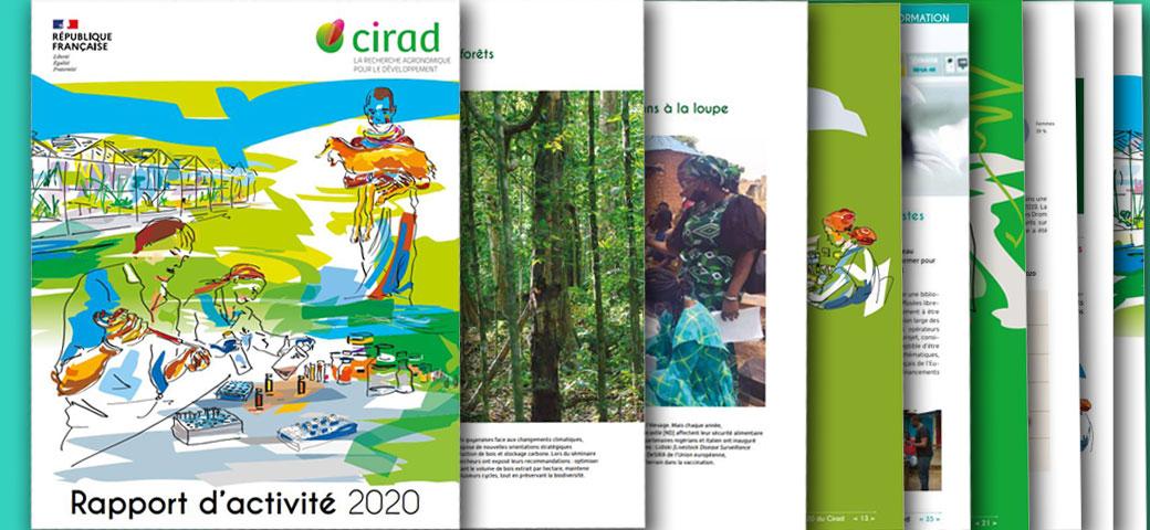 Le rapport d'activité 2020 du Cirad © Cirad